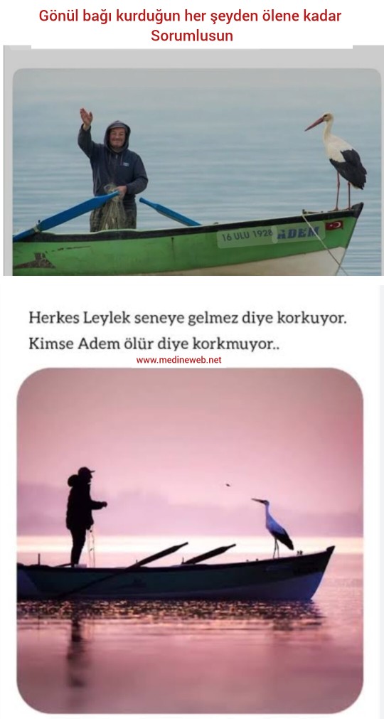sim:  InShot_20250406_203002056.jpg
Grntleme: 6
Byklk:  78,2 KB (Kilobyte)
