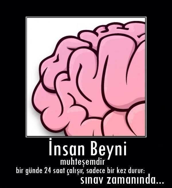 sim:  insan beyni.jpg
Grntleme: 131
Byklk:  34,7 KB (Kilobyte)
