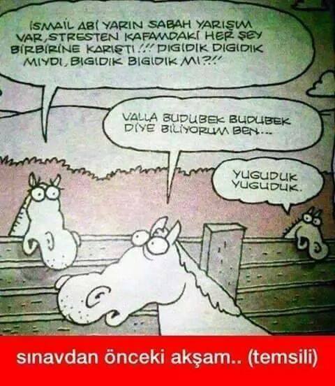 sim:  atlar.jpg
Grntleme: 149
Byklk:  44,8 KB (Kilobyte)