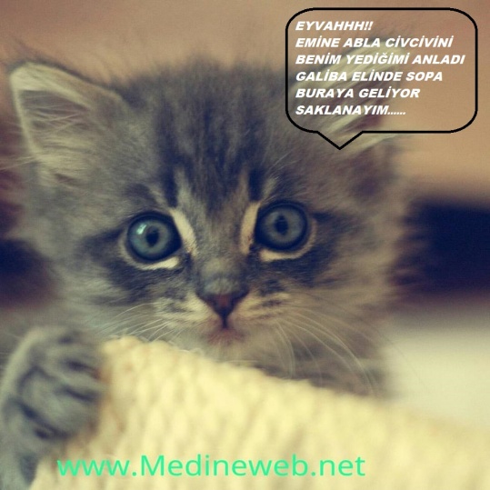 sim:  12832568_175600432828682_857400952245518003_n.jpg
Grntleme: 84
Byklk:  88,9 KB (Kilobyte)