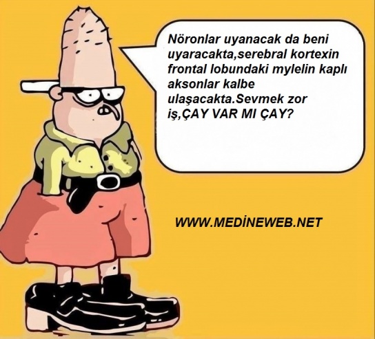 sim:  baattinin-basari-hikayesi3a36553f3dc17401f7b5.jpg
Grntleme: 83
Byklk:  85,6 KB (Kilobyte)