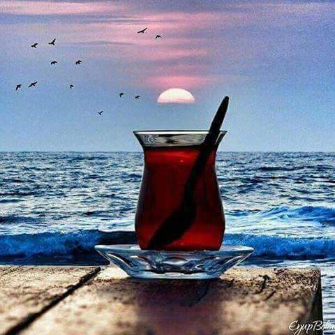 sim:  FB_IMG_1500214513654.jpg
Grntleme: 84
Byklk:  36,6 KB (Kilobyte)