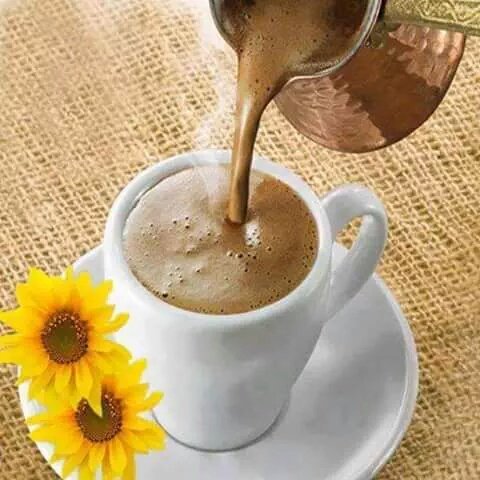 �sim:  CeizUv8XIAA33GI.jpg
G�r�nt�leme: 122
B�y�kl�k:  45,9 KB (Kilobyte)