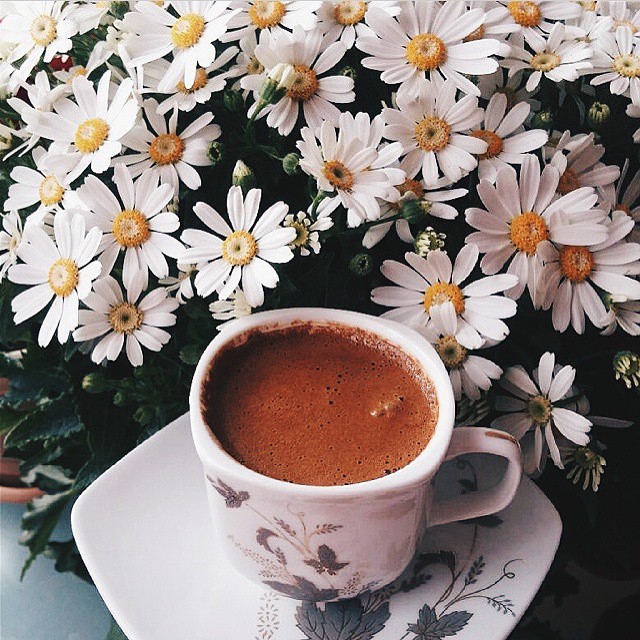 �sim:  Soyle-papatyalar-arasinda-bir-turk-kahvesi-ile-aydinlanircasina-uyansak-@turkishcoffeelover-cok-.jpg
G�r�nt�leme: 96
B�y�kl�k:  147,3 KB (Kilobyte)