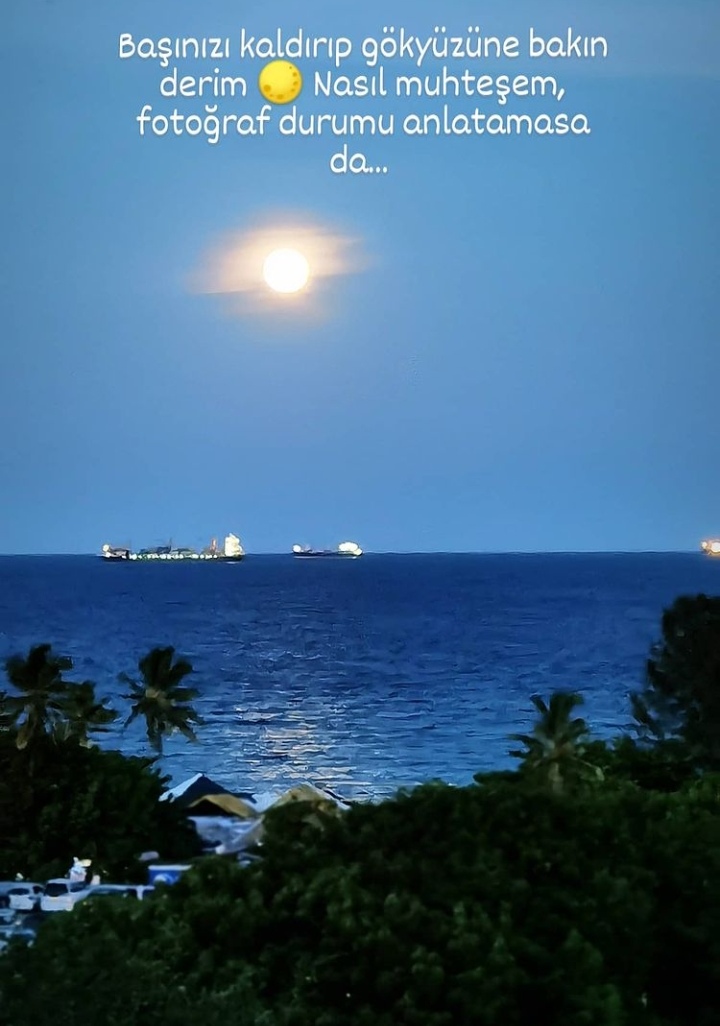 �sim:  IMG_20210408_100604.jpg
G�r�nt�leme: 37
B�y�kl�k:  167,7 KB (Kilobyte)