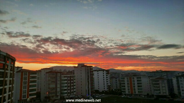 �sim:  Lumii_20230404_021433756.jpg
G�r�nt�leme: 71
B�y�kl�k:  50,0 KB (Kilobyte)