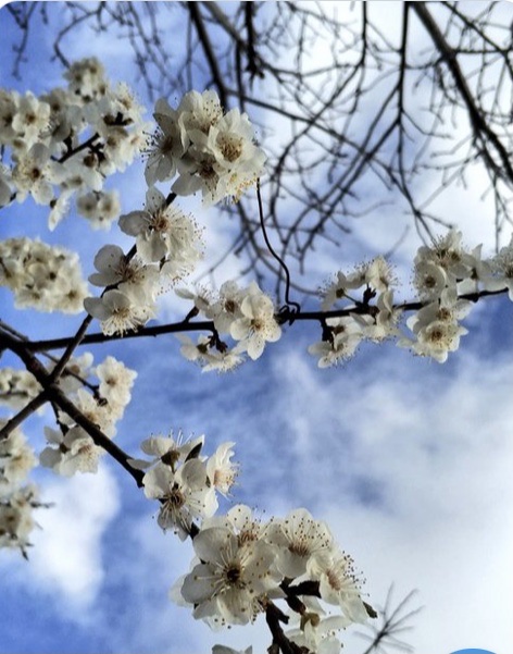 �sim:  78F75095-D4D4-4A9A-A5D0-FAE1242948E7.jpeg
G�r�nt�leme: 37
B�y�kl�k:  109,9 KB (Kilobyte)