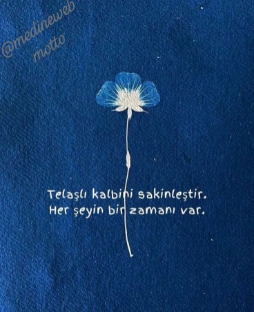 �sim:  IMG-20260111-WA0024.jpg
G�r�nt�leme: 22
B�y�kl�k:  53,7 KB (Kilobyte)