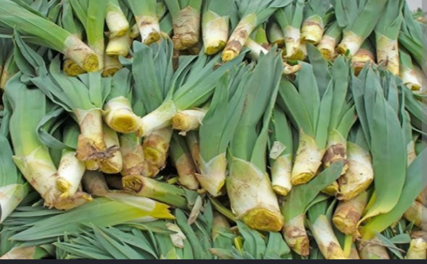 -img_20260426_205426jpg