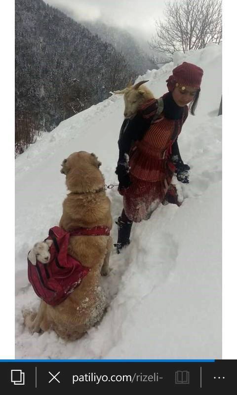 sim:  rize.jpg
Grntleme: 92
Byklk:  41,5 KB (Kilobyte)
