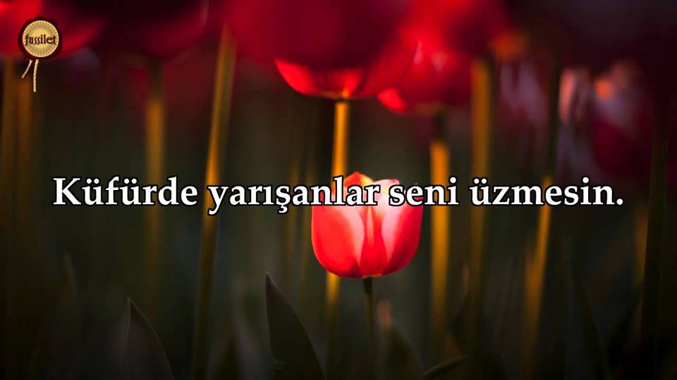 sim:  945515_143887525984272_7133116348814062788_n.jpg
Grntleme: 53
Byklk:  34,9 KB (Kilobyte)