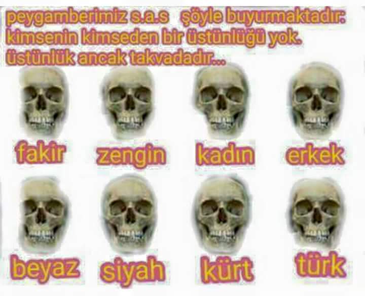 sim:  12832564_491821924343841_8601275701408542194_n.jpg
Grntleme: 49
Byklk:  38,2 KB (Kilobyte)