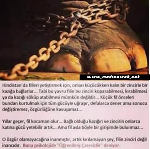 sim:  3.jpg
Grntleme: 107
Byklk:  84,0 KB (Kilobyte)