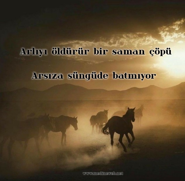 sim:  InShot_20250420_234242575.jpg
Grntleme: 5
Byklk:  57,8 KB (Kilobyte)