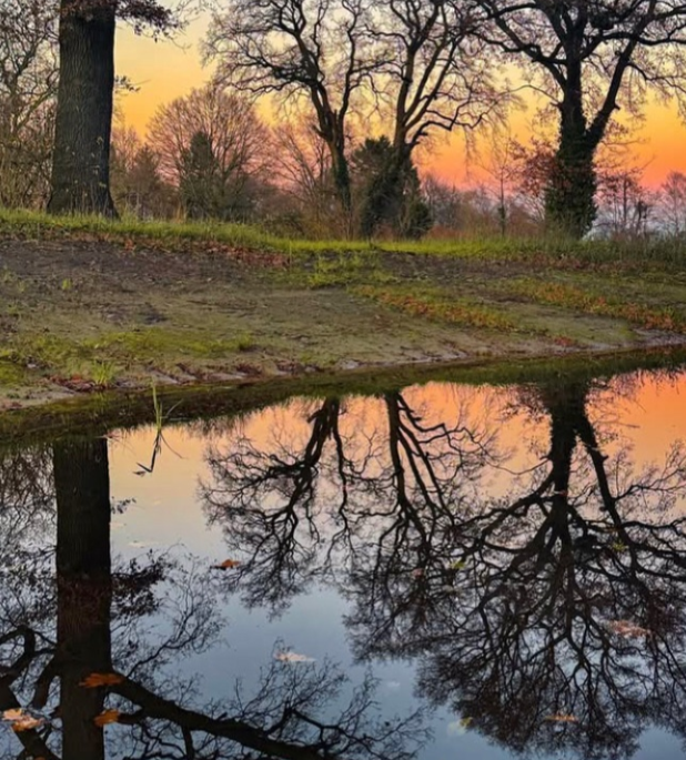 -img_20250218_093115jpg