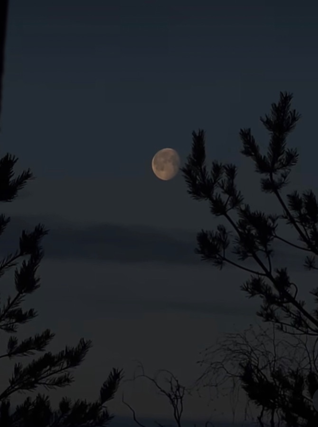 -img_20250228_075100jpg