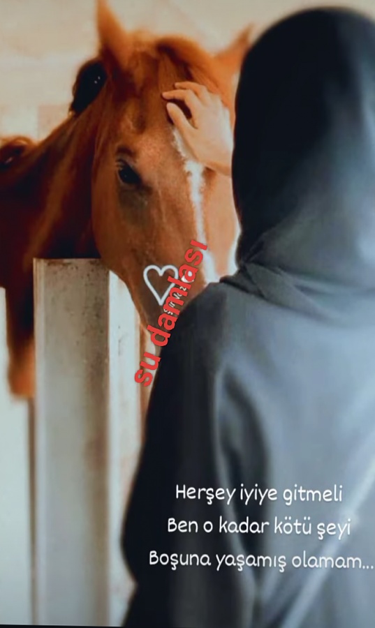 Sessiz kelimeler..-img_20250510_175943jpg