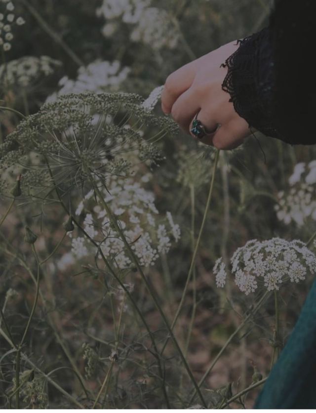 -img_20251112_084929jpg