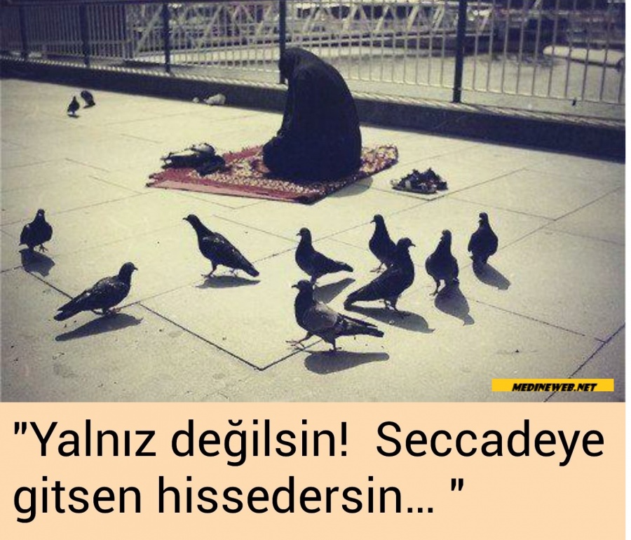 sim:  yalnz.jpg
Grntleme: 74
Byklk:  224,5 KB (Kilobyte)