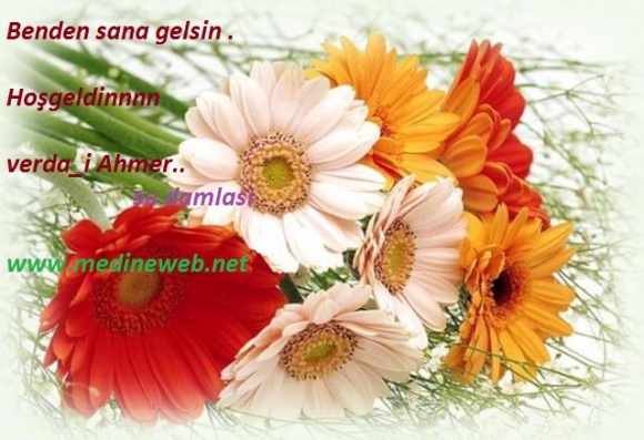 �sim:  5.jpg
G�r�nt�leme: 93
B�y�kl�k:  96,6 KB (Kilobyte)
