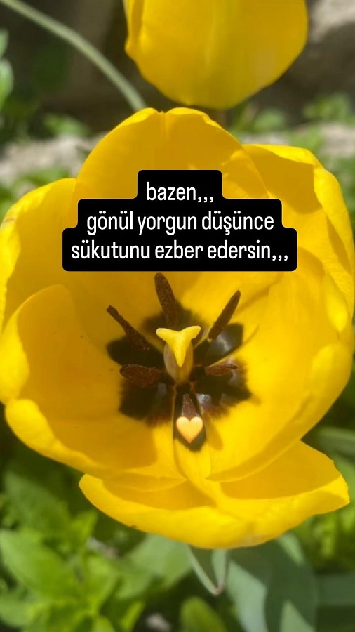 -img_20250410_165700_230jpg