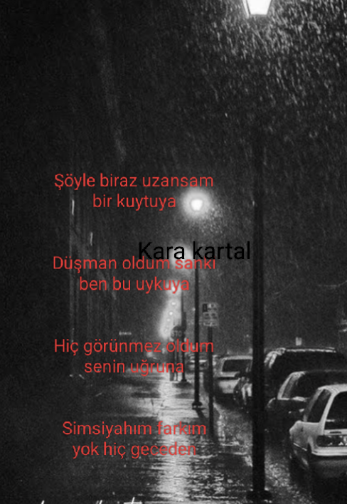 -img_20260203_134039jpg